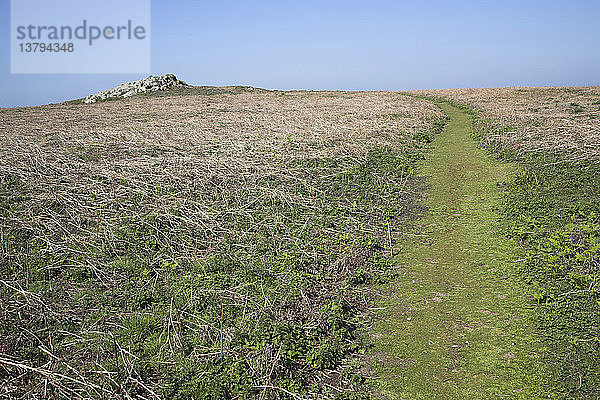 Insel Skomer  Pembrokeshire  Wales