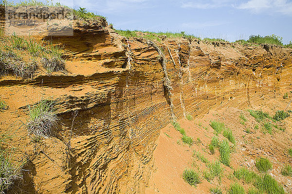 Rotes Felsgestein im Steinbruch Buckanay Pit  Alderton  Suffolk  England