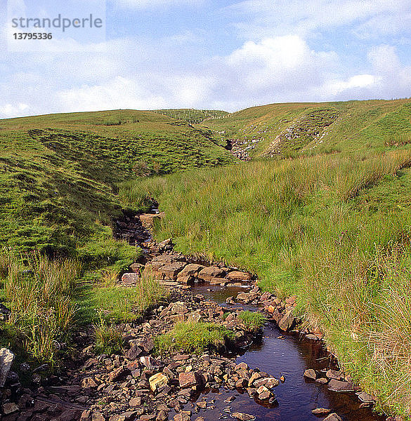 Nebenfluss in der Nähe seiner Quelle  River Tyne South  nördliche Pennines  England