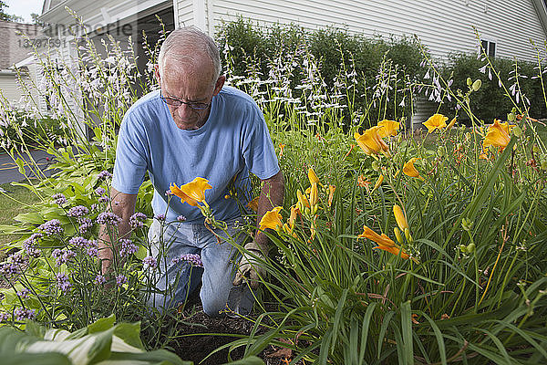 Ein älterer Mann benutzt eine Kelle in seinem Blumengarten