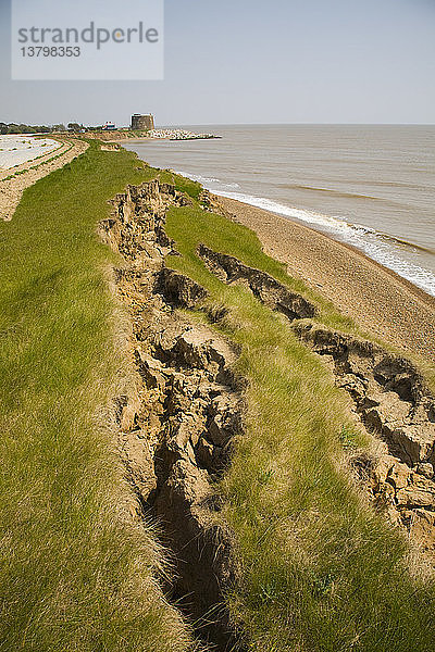 Schnelle Küstenerosion der bröckelnden weichen Klippen bei East Lane  Bawdsey  Suffolk  England