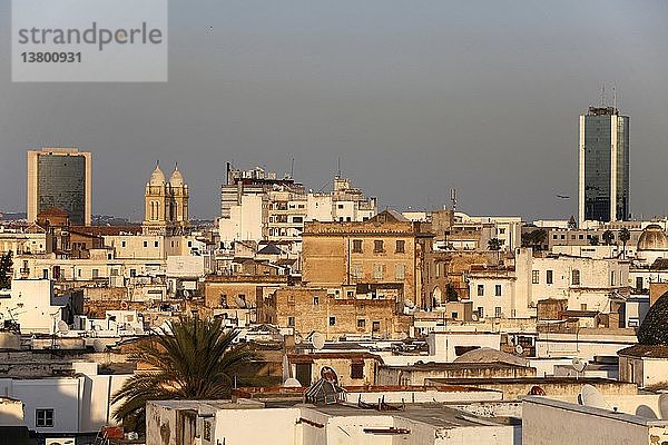 Die Stadt Tunis von einem Medina-Dach aus gesehen  Tunis  Tunesien.
