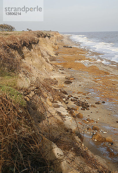 Rasch erodierende Sandklippen  Benacre  Suffolk  England