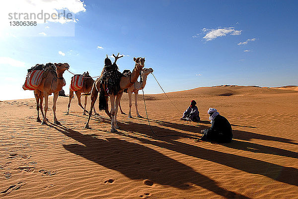 Tuaregs und Dromedare