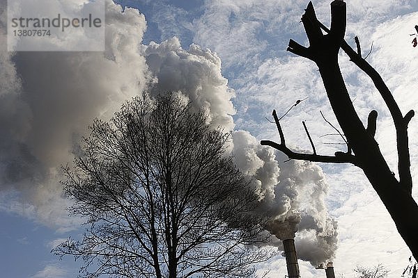 Rauch aus Fabrikschornsteinen und Bäume  Frankreich