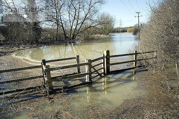 Vom Überlauf des Belstead Brook überschwemmtes Feld  Ipswich  Suffolk