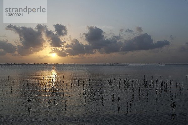 Morgendämmerung über dem Senegal-Fluss  Saint-Louis  Senegal.