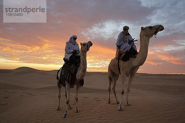 Dromedar-Reiter in der Sahara.