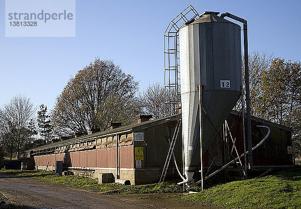 Getreidesilo für eine Schweinezuchtanlage  Sutton  Suffolk  England