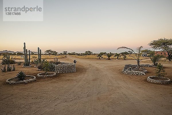 Solitair Gepardenpark in Namibia