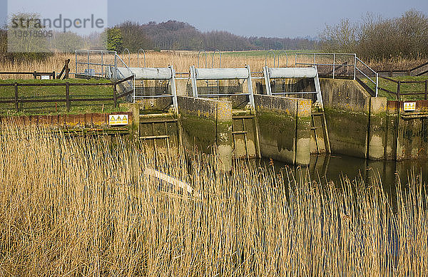 Hochwasserschutzdamm am Fluss Alde bei Snape  Suffolk  England