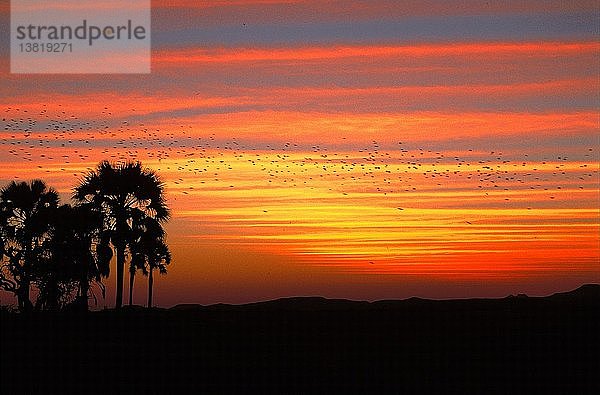 Sonnenuntergang in der Wüste Damaraland  Damaraland  Namibia.