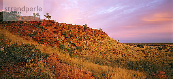 Landschaft bei Trainor Hills bei Sonnenuntergang  Canning Stock Route  Little Sandy Desert  Westaustralien