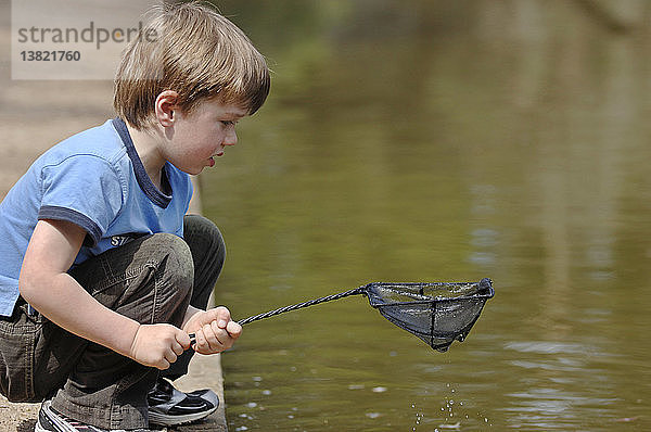 Kleiner Junge sammelt Wasserkäfer mit einem kleinen Handnetz  Serendip Sanctuary  Victoria  Australien