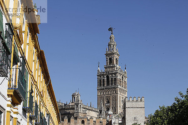 Giralda  der Glockenturm der Kathedrale von Sevilla (früher ein Minarett)