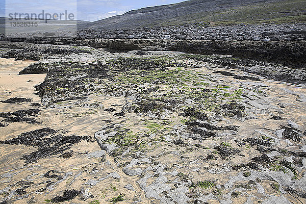 Strand von Fanore  in der Nähe von Ballyvaughan  Grafschaft Clare  Irland