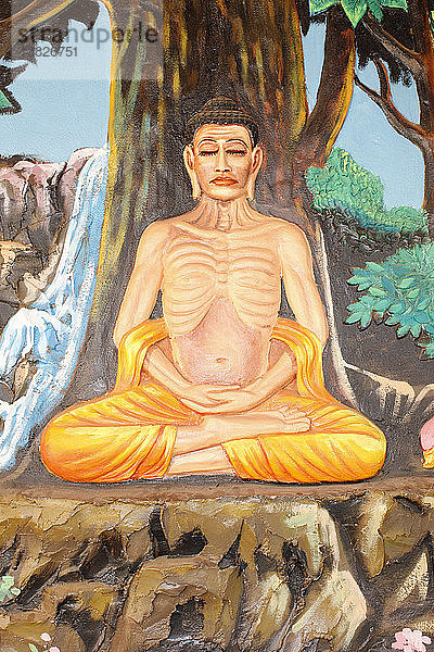 Preah Prom Rath-Kloster. Das Leben des Buddha. Experiment mit Askese.