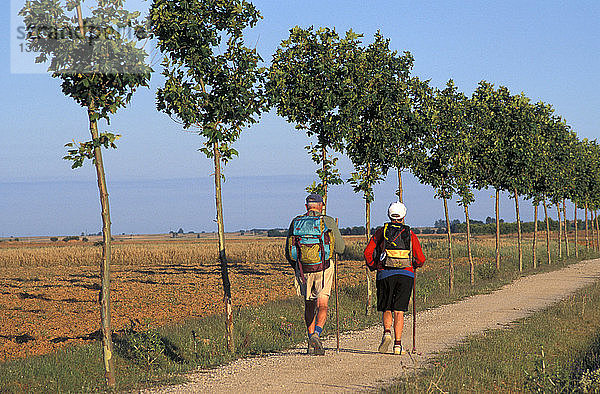 Pilger auf dem Weg nach Santiago de Compostela