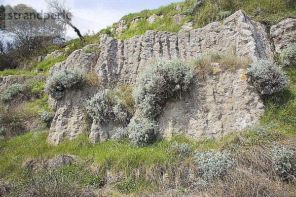 Pulhamit  eine Art von künstlichem Gestein in den Gärten von Bawdsey Manor  Suffolk  England