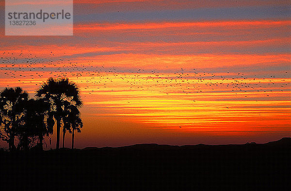 Sonnenuntergang in der Wüste Damaraland