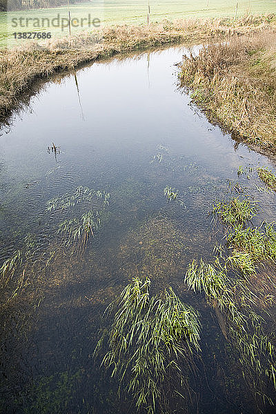 Mäanderkurve am Fluss Alde  Blaxhall  Suffolk  England