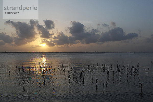 Morgendämmerung über dem Senegal-Fluss