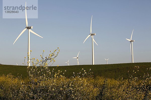 Windmühlen  Spanien.
