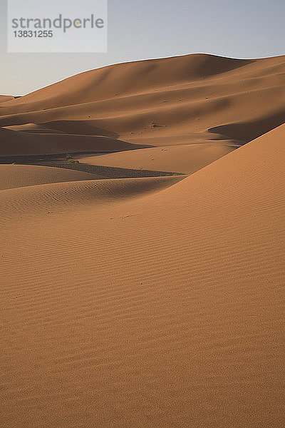 Kameltrekking durch die Sanddünen von Merzouga  Marokko