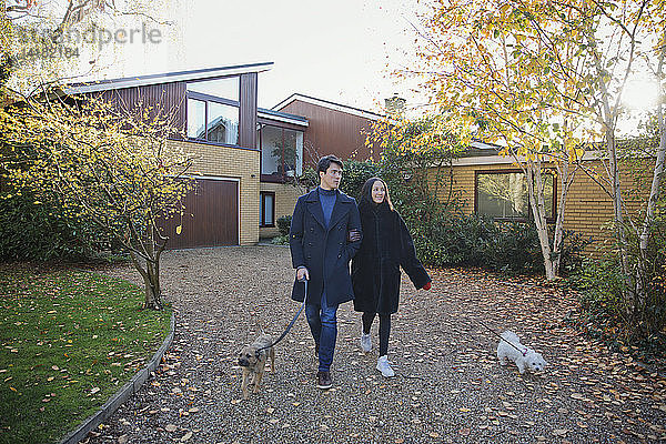 Ehepaar geht mit Hunden in herbstlicher Einfahrt spazieren