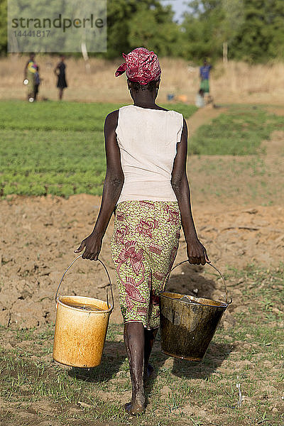 Mitglied einer Frauenkooperative trägt Eimer zur Bewässerung eines Feldes in Karsome  Togo.