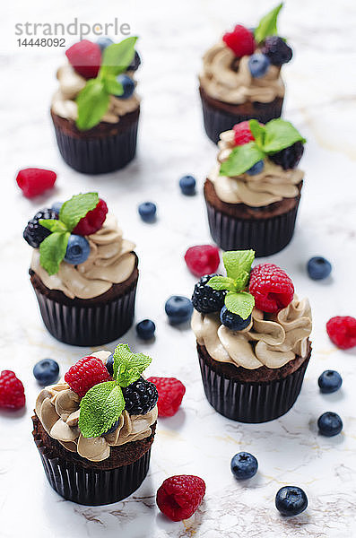 Schokoladen-Cupcakes mit Schokoladen- und Frischkäseglasur