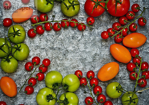 Frische bunte Tomaten