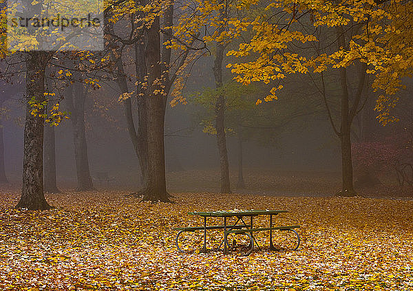 Picknicktisch in einem Park