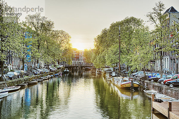 Baumbestandener Kanal  Venedig  Italien