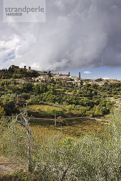 Hügelstadt Montalcino