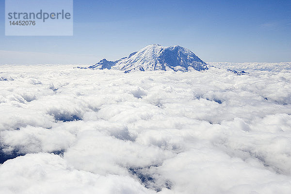 Mount Rainier über den Wolken