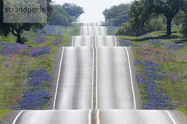 Landschaftlich reizvolle Landstraße