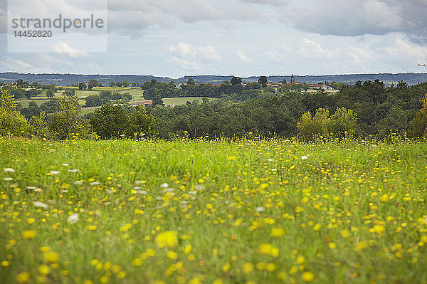 Ansicht des französischen Dorfes vom Feld der Wildblumen