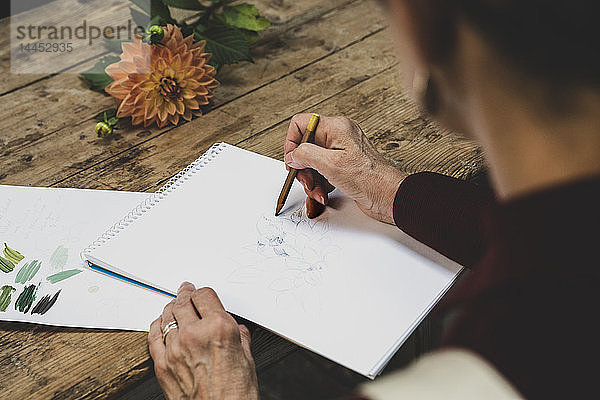 Hochformatige Nahaufnahme eines am Tisch sitzenden Künstlers  der an einer Bleistiftzeichnung der orangefarbenen Dahlie arbeitet.