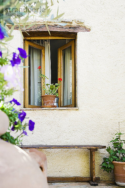 Offenes Fenster mit Topfpflanze und Bank