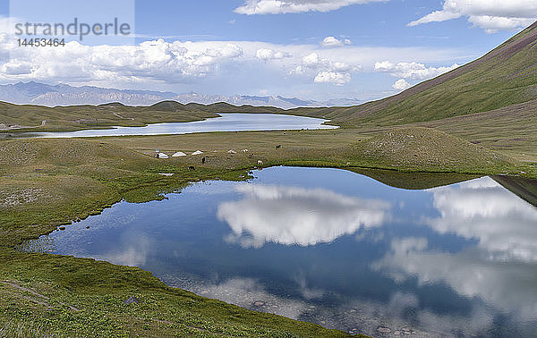 Wolken  die sich in Seen in einem Tal spiegeln  entferntes Gebirge  Tulpar Kul  Kirgisistan.