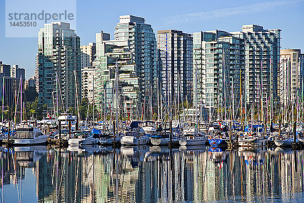 Harbor View  Vancouver  Britisch-Kolumbien  Kanada