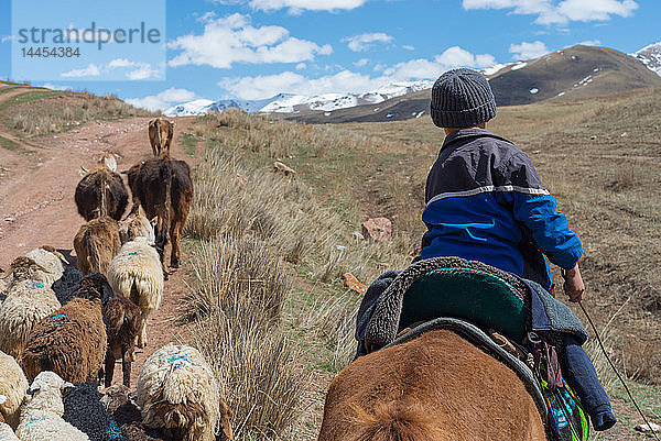 Junger Schafhirte bei einem Ausritt zum Song-Kul-See  Kirgisistan  Zentralasien