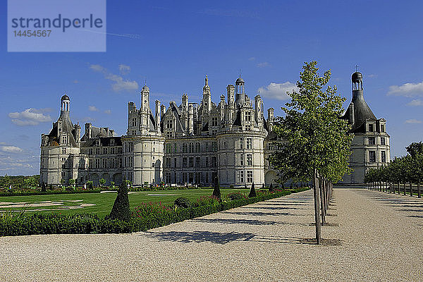 Europa  Frankreich  Centre-Val de la Loire  Loir-et-Cher ( 41 )  Loire-Tal  Weltkulturerbe der UNESCO  Nationale Domäne des Schlosses von Chambord  Schloss  Park