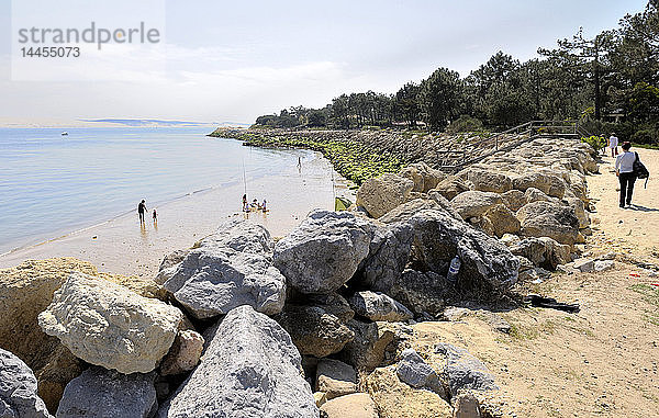 Frankreich  Südwestfrankreich  Bucht von Arcachon  Schutzdeich gegen Meereserosion