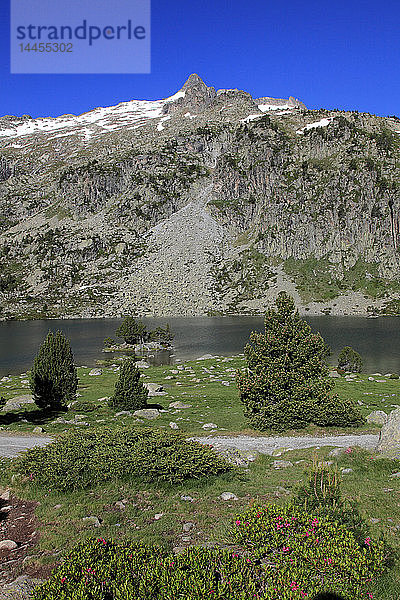Frankreich  Okzitanien  Departement Hautes Pyrenees (65)  Aragnouet (Gebiet von Saint Lary Soulan)  Naturschutzgebiet von Neouvielle  See von Aubert