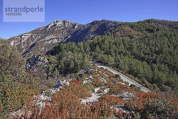 Frankreich  Alpes-de-Haute-Provence  Verdon  Naturlandschaft der Gorges du Verdon