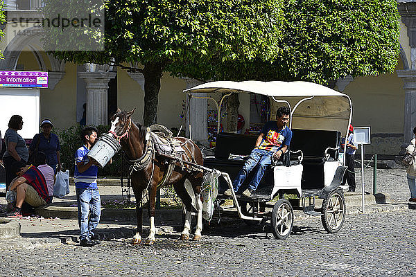 Caleche (Pferdekutsche) in Antigua  Guatemala  Mittelamerika.