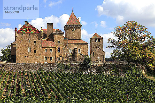 Frankreich  Bourgogne Franche Comte  Departement Saone et Loire (71)  Pierreclos  das Schloss