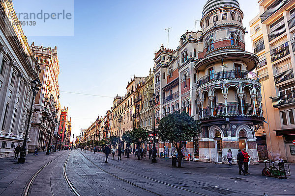 Sevilla  Spanien - 11. Januar 2017 - Allee des Bauens  Sevilla  Andalusien  Spanien